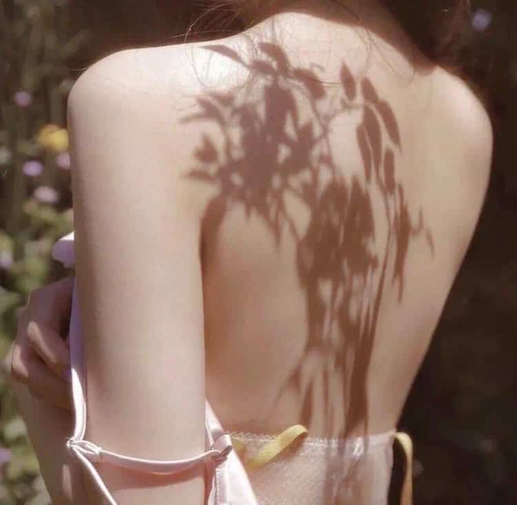 动漫神作：热血少年的冒险之旅