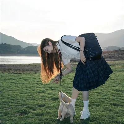 战火中的小狐狸